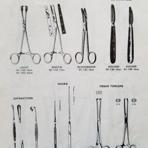 Intestines & Stomach