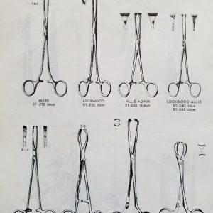 Intestines & Stomach