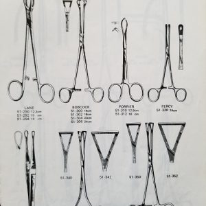 Intestines & Stomach