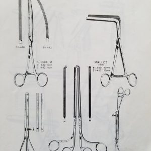 Intestines & Stomach